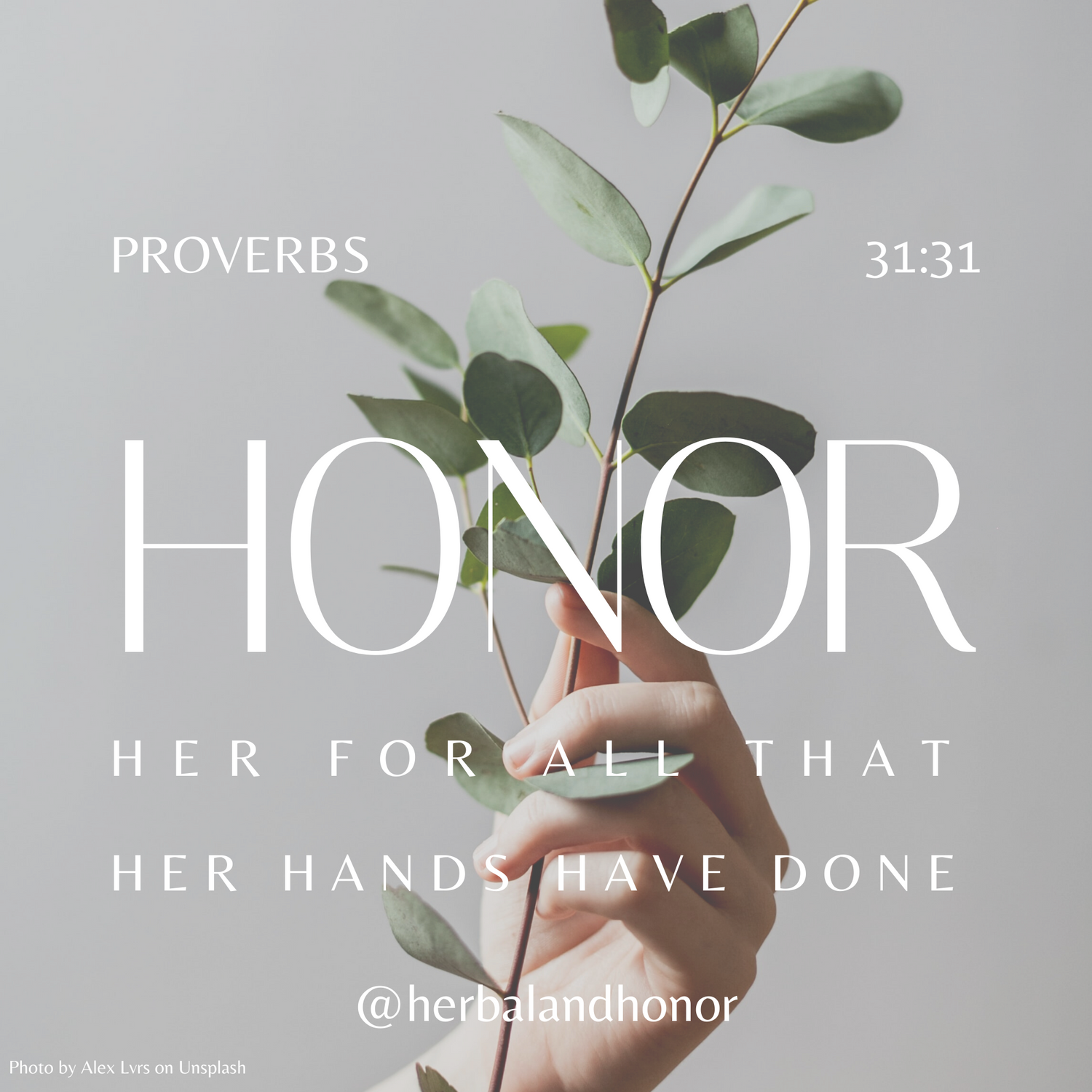 Proverbs 31-31 Herbal and Honor Holistic Care
