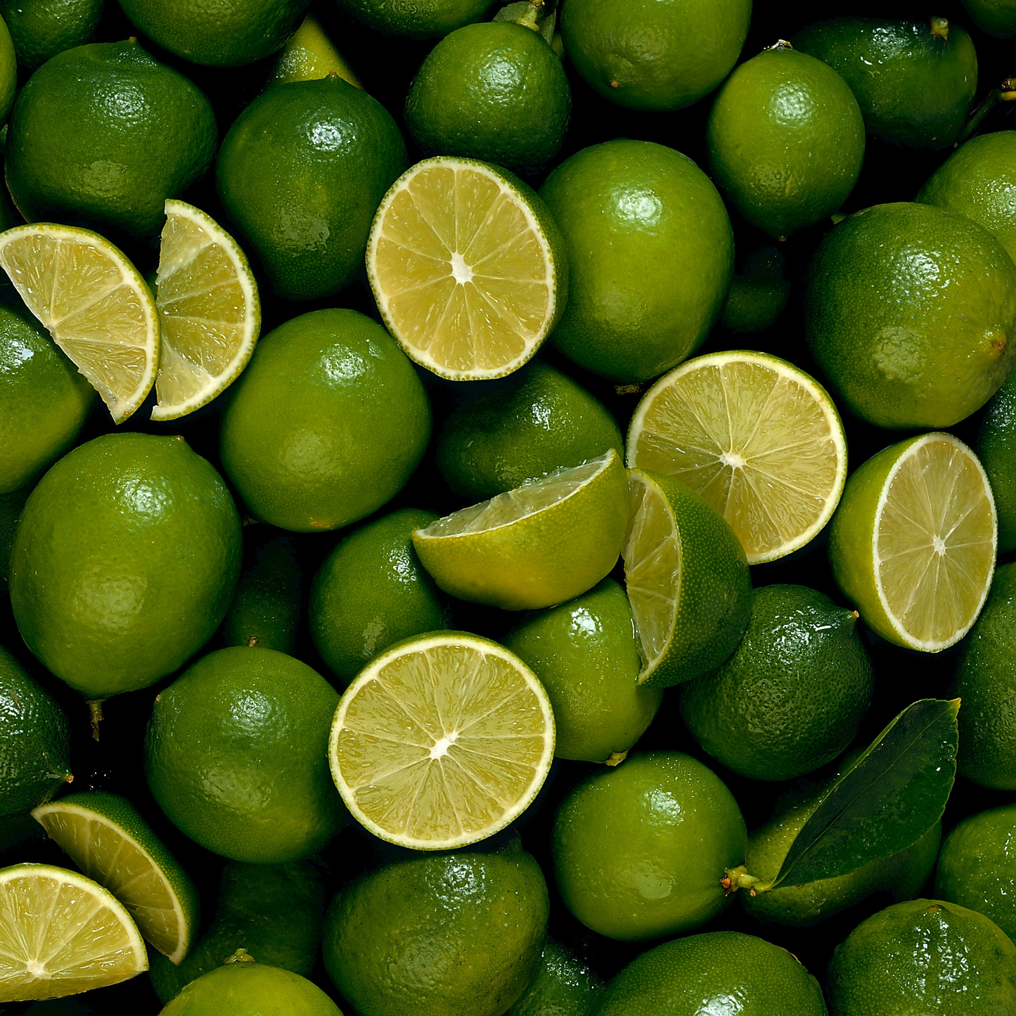 Lime Essential Oil